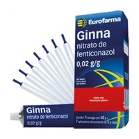 Ginna Cr Vaginal 40gr