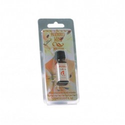 Colonia Almiscar Patcho Wind Mystery 5ml